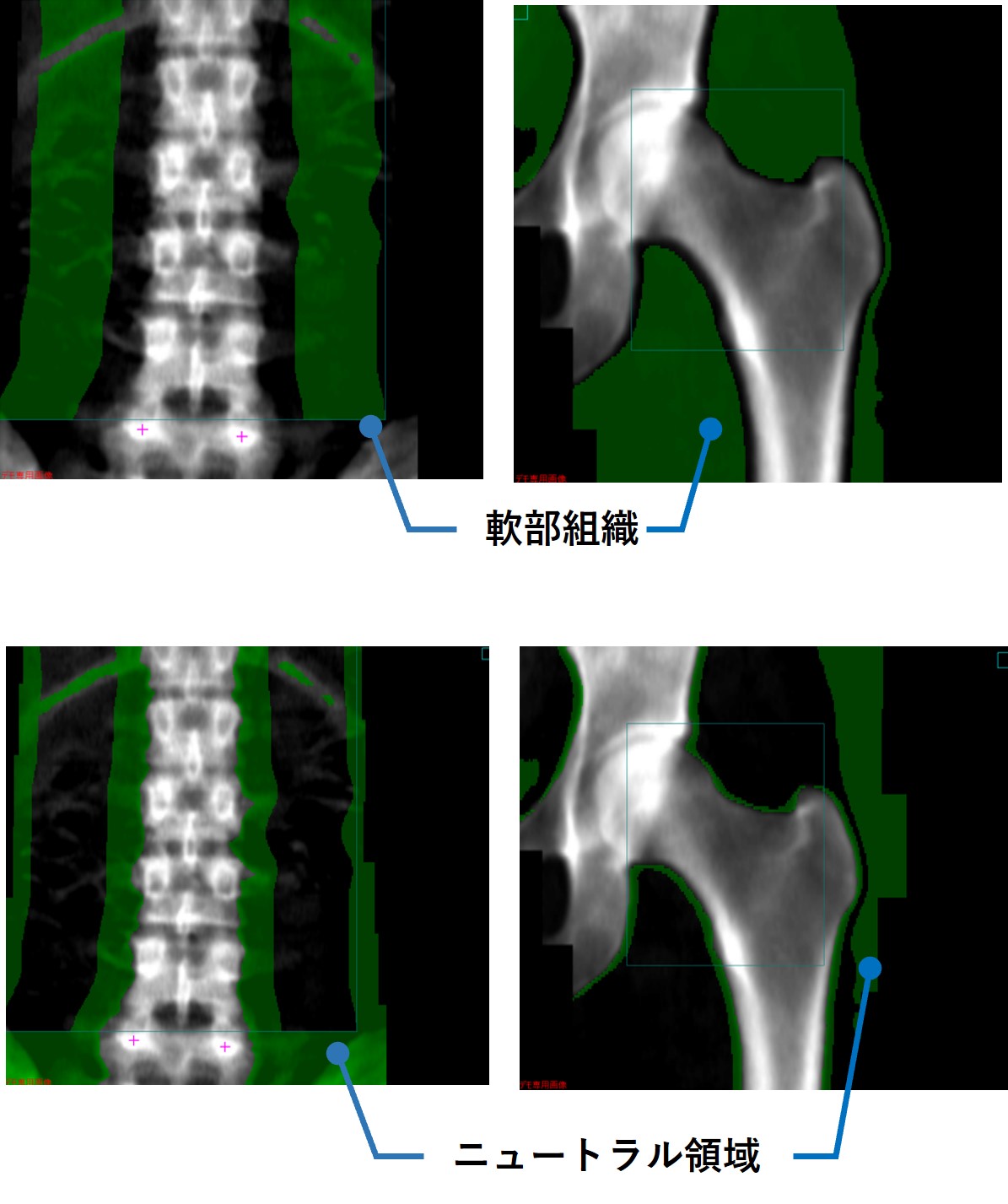 Clinical Tips_yokohamashitobu04.jpg